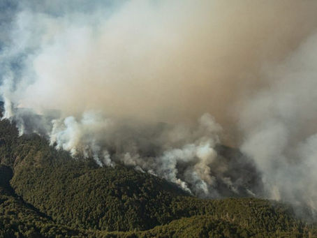 Cuál es el rol del CONICET en los incendios paragónicos