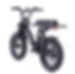 Thumbnail: Fatboy Bikes - The Bagus 
