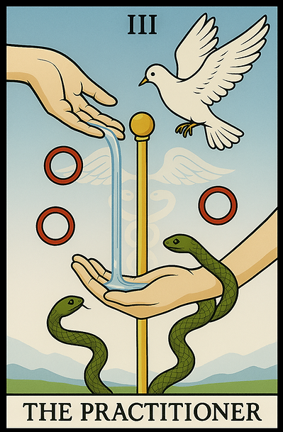 The_Practitioner_TrimmedExactly.png