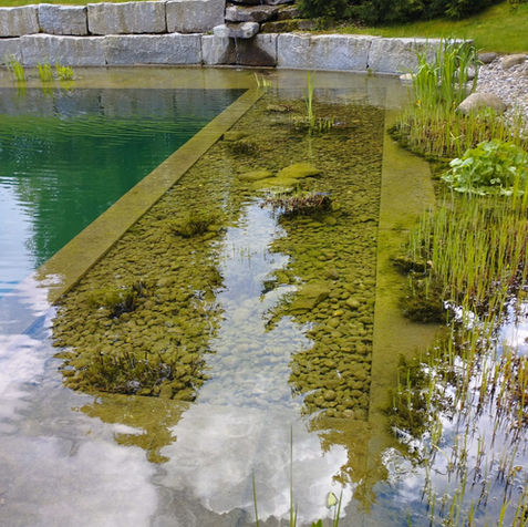 Fischteich St.Gallen