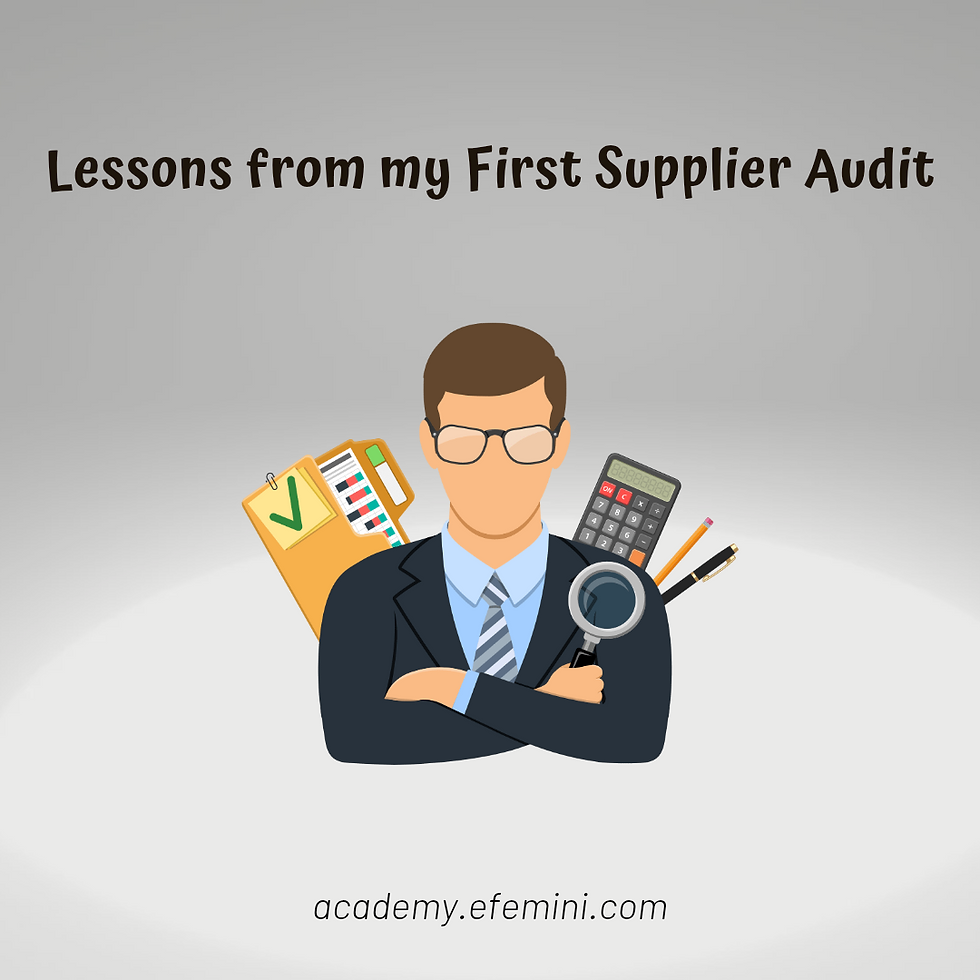 supplier audit