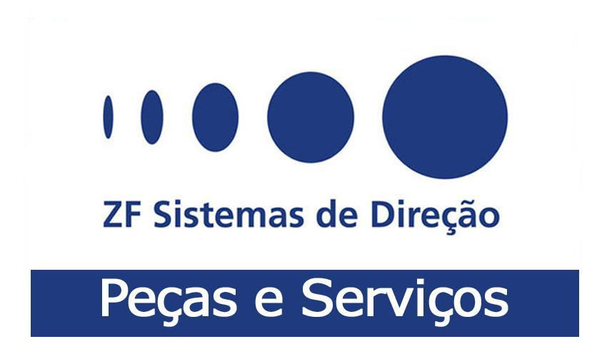 logo_service_atual_final2