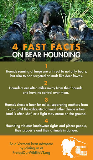 POW_HoundingFSB_FBPoster_2048x3518.jpg