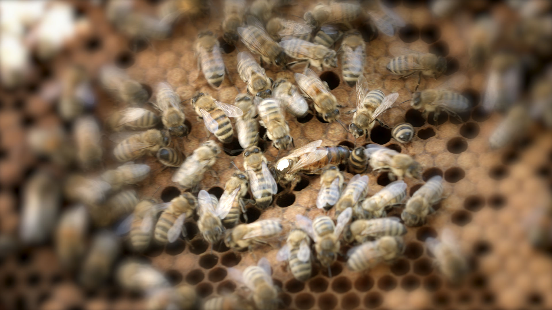 stage perfectionnement