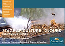 carte cadeau stage apiculture