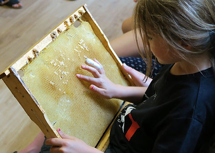 découverte abeilles enfant aveyron