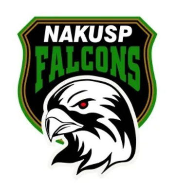 Nakusp Minor Hockey - Nakusp Falcons