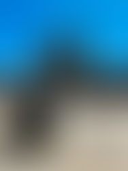 La marche sur Santiago…