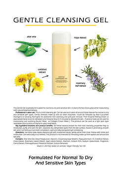 104 Gentle Cleansing Gel Flyer.jpg