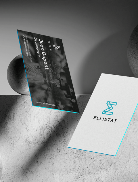 Ellistat, support de communication print et web, cartes de visite, graphiste Annecy Genève