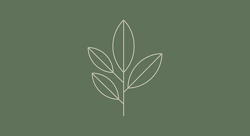 Orikia promotion — Éléments graphiques — Studio de création Annecy.png