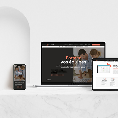 Ellistat — numerique — Graphiste Annecy