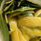 Thumbnail: LIMON VERDE 250ml