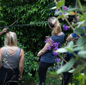 Spice Farm tour at Rosegardens Munnar