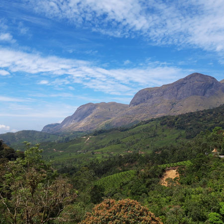 The hills of Idukki
