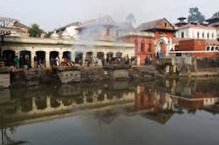 Wild animals in their natural habitat during a safari tour in India