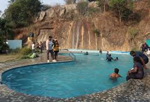image.pnWild animals in their natural habitat during a safari tour in Indiag