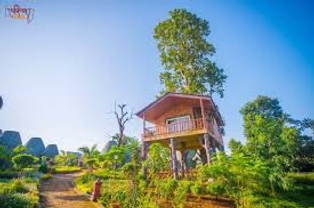 Wild animals in their natural habitat during a safari tour in India