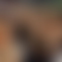 What to visit in Lanzarote - Part I