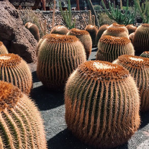 What to visit in Lanzarote - Part I