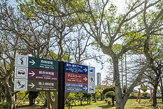 (軽量)西崎公園_0146.jpg