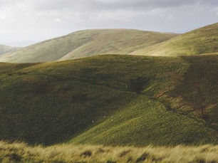 Poetry Month #11: Yonder Meadow