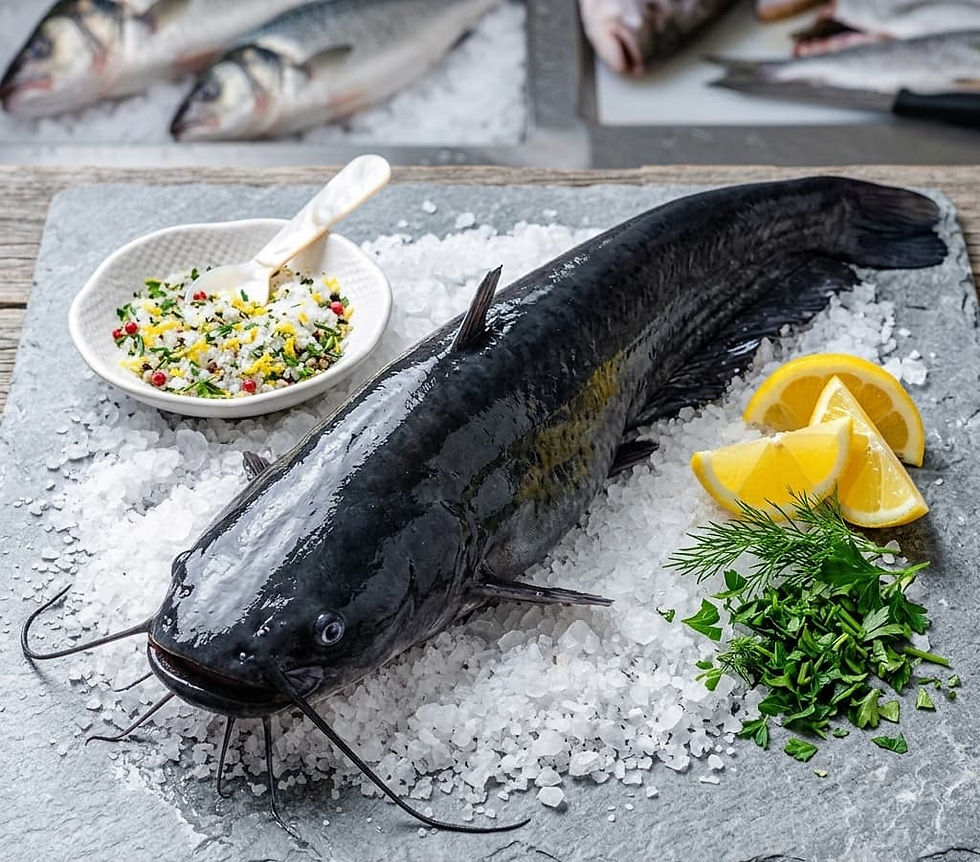 Fresh whole catfish on ice with lemon wedges and sea salt