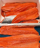 Fresh wholesale salmon fillets packed tightly with ice inside a seafood delivery crate