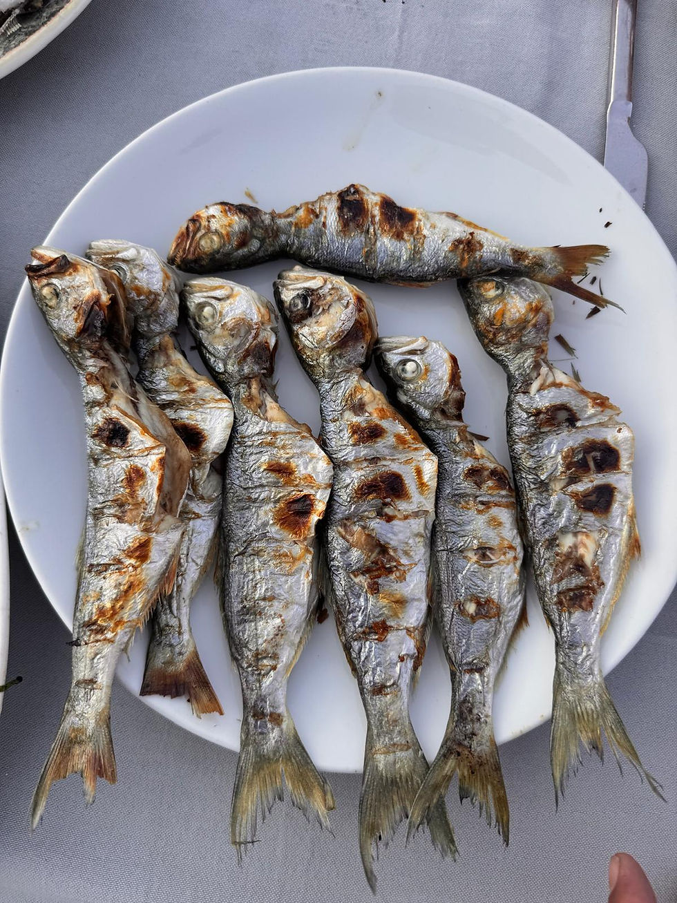 Flame-grilled fresh Black Sea bluefish served traditionally on a plate