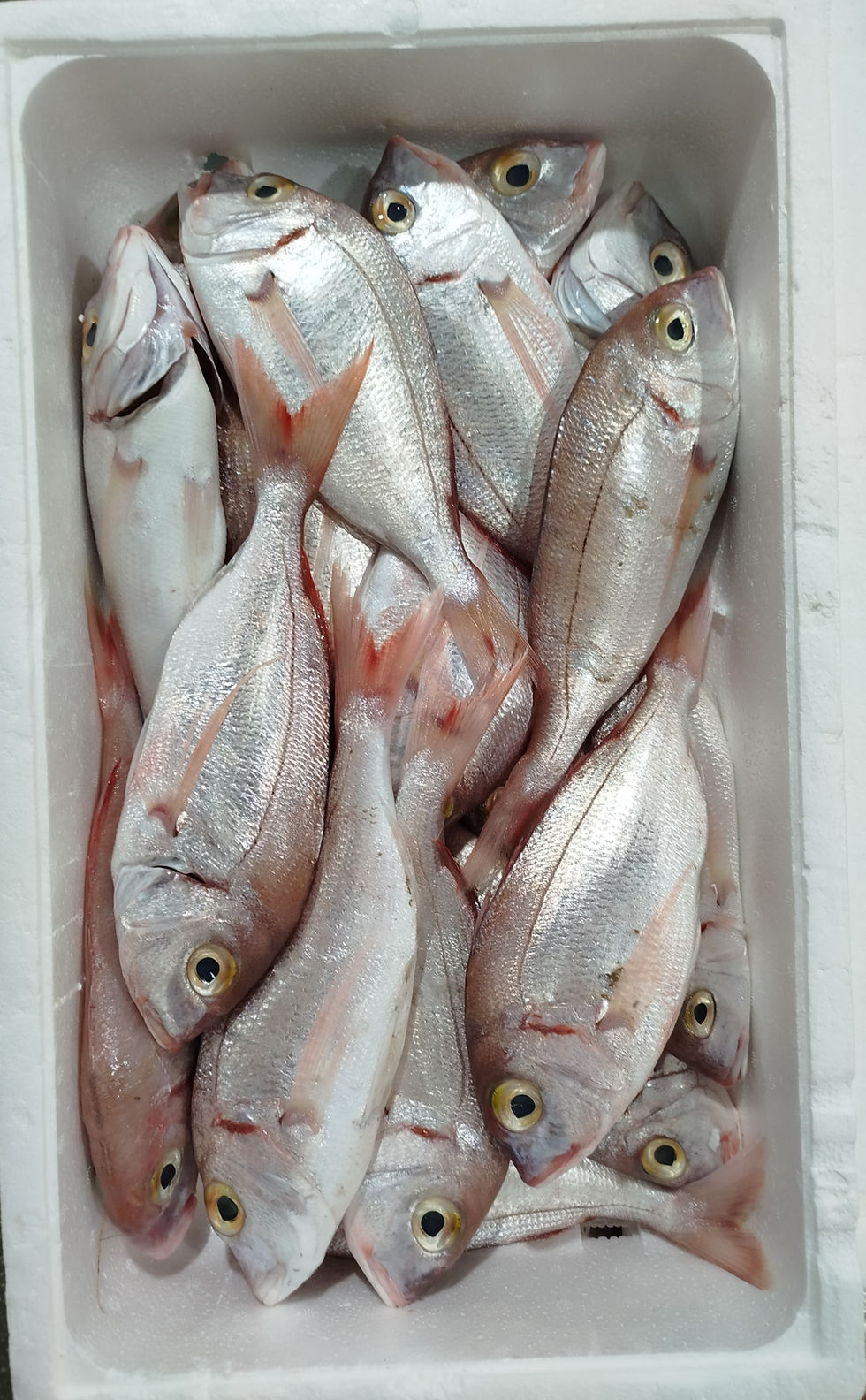 Pageo displayed on cutting board