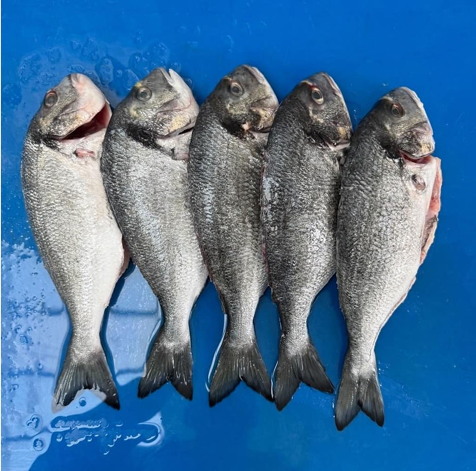 Sea Bream Displayed on cutting board