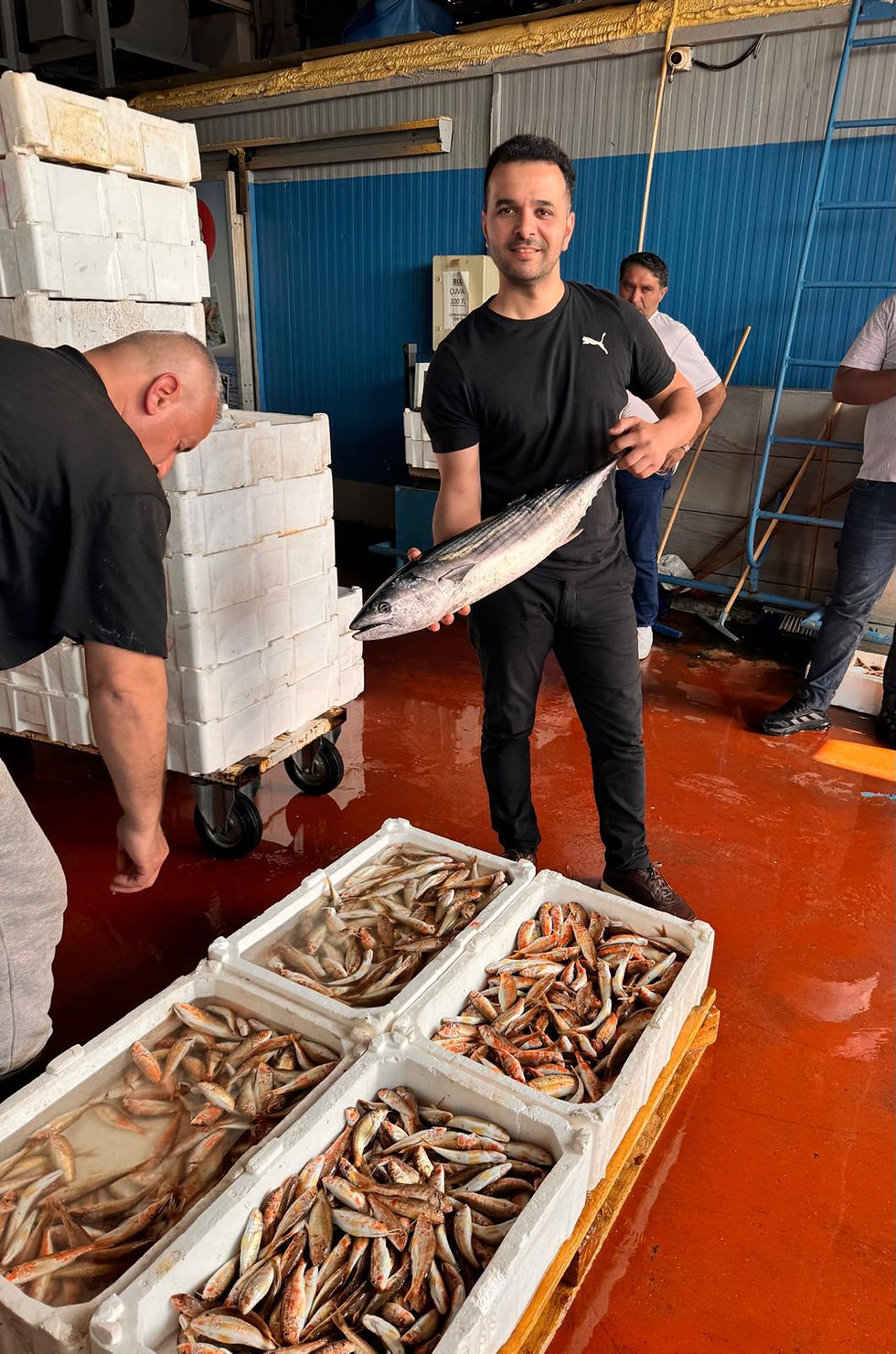Sourcing fresh Black Sea bonito and horse mackerel directly from wholesale fish market