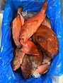 whole salmon