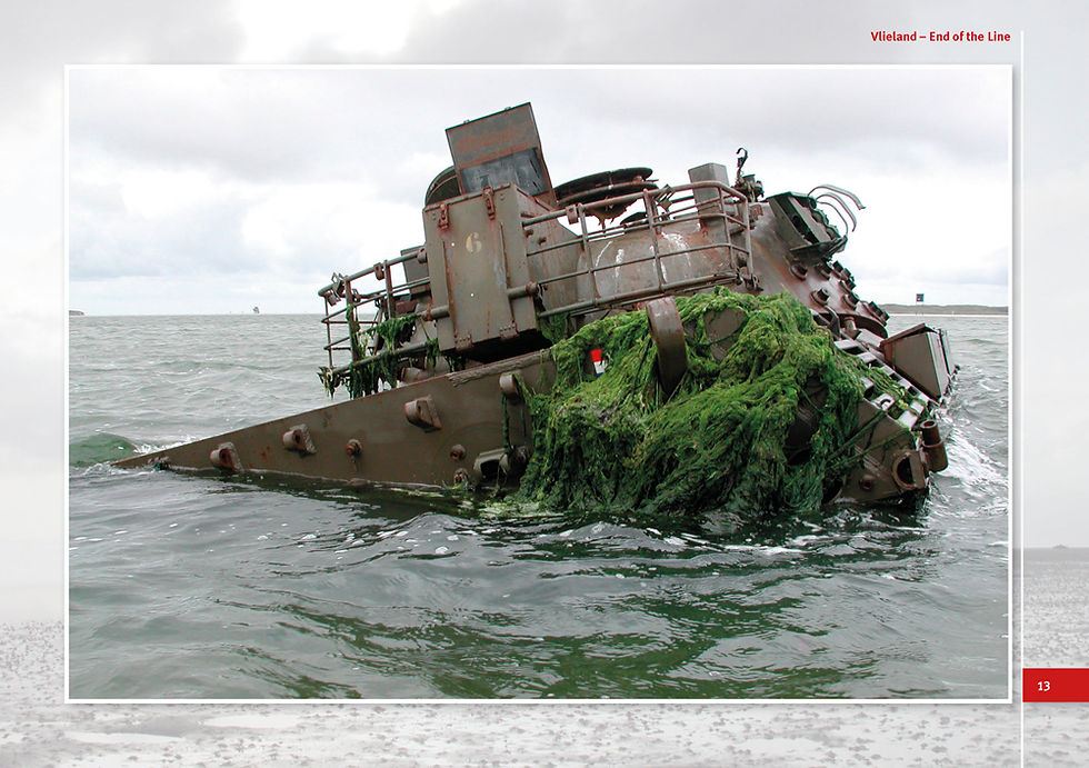 Leopards on the RangeA5_Page_13.jpg