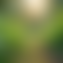 The Importance of Sustainable Living in Today's World