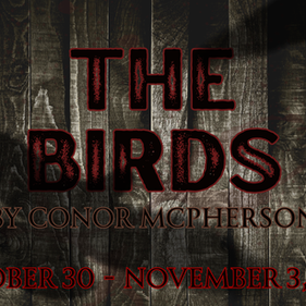 “The Birds” at Masquerade Theatre is an Im-Peck-Able Show You’ll Want to Flock To