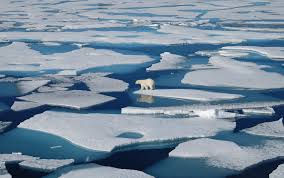 Ice Sheet