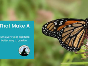 You Can Order Local Ecotype Native Plants for Your Region from the National Wildlife Federation!