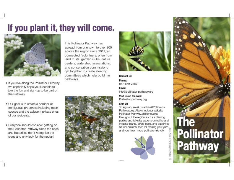 Generic PP Brochure 2020 pg1_Page_1.jpg
