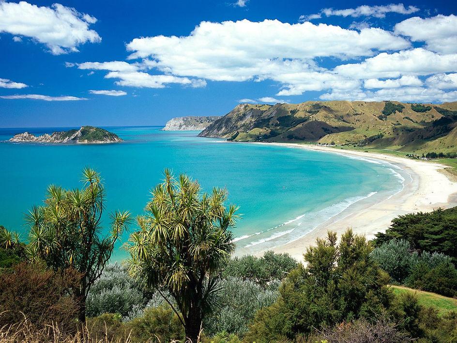 anaura-bay-gisborne-new-zealand-picture-