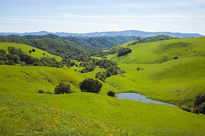 Briones.jpg