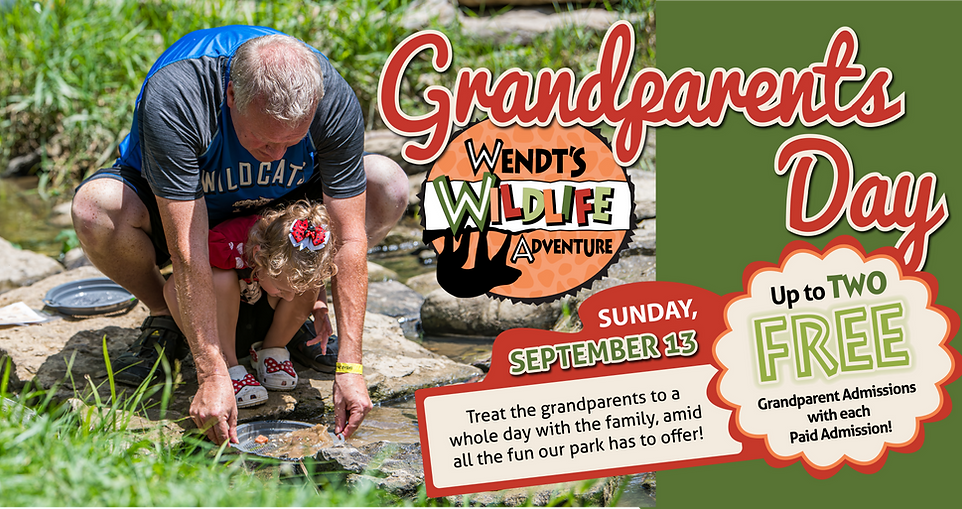 Grandparents Day
