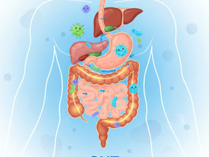 prebiotic fiber improves gut health digestion and healthy gut bacteria