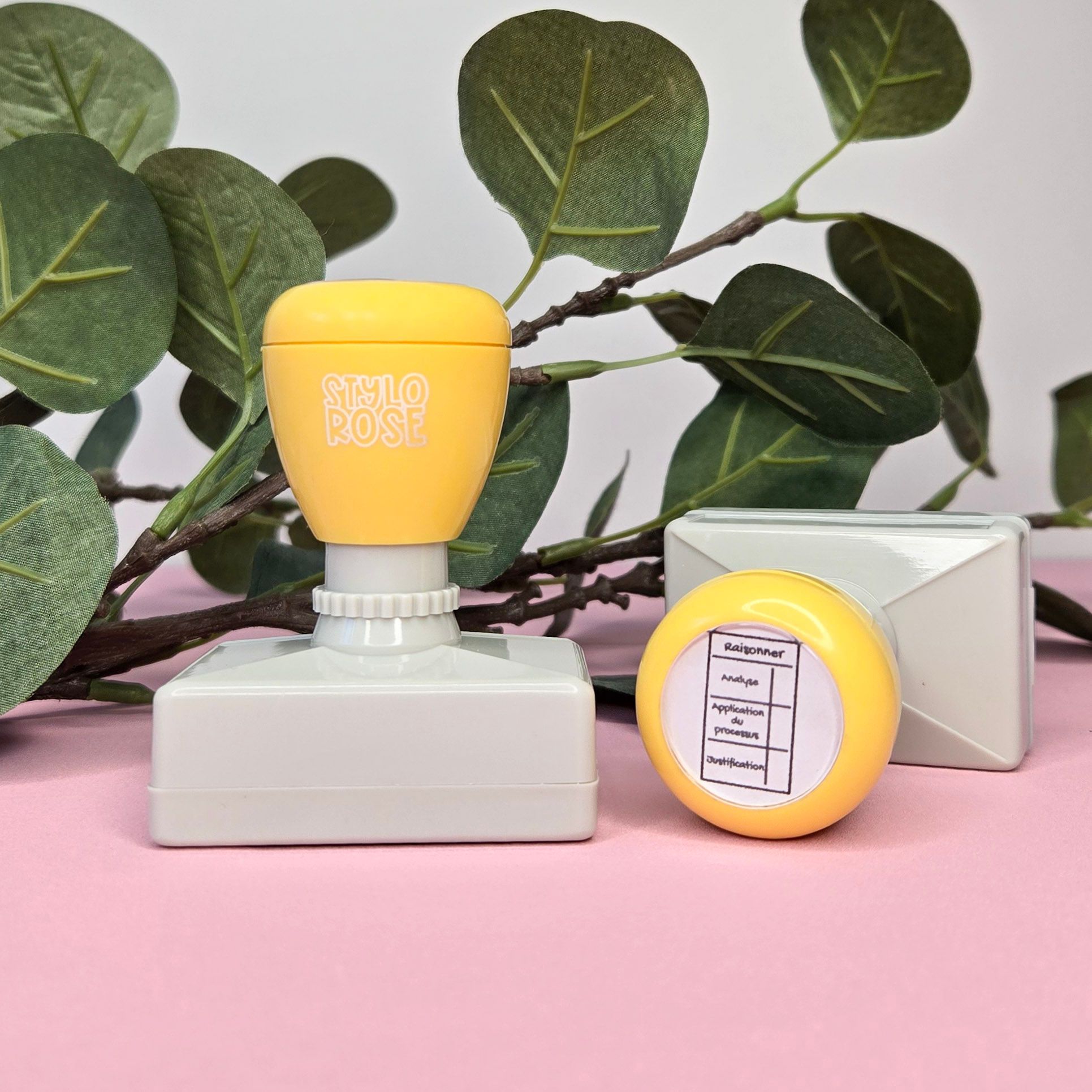 Raisonner critère de correction - Étampe