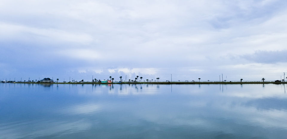 Landscape of bay and palm trees