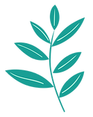 AdobeStock_322518098_23_edited_edited_ed