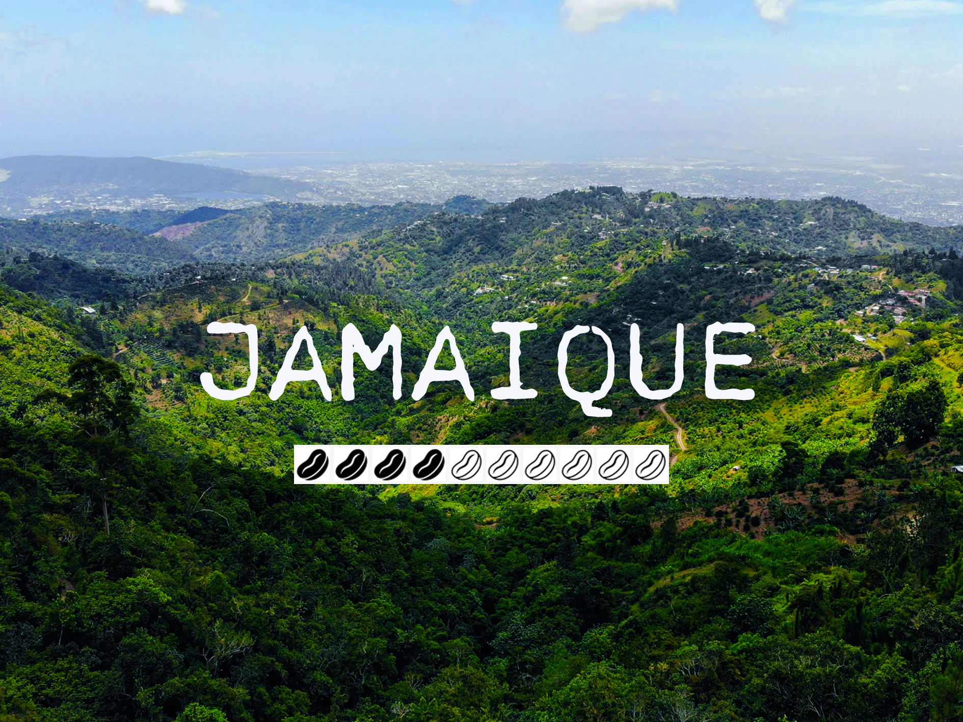 JAMAIQUE - Blue Mountain