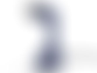 Vaporizador Electrolux EPS10 Review