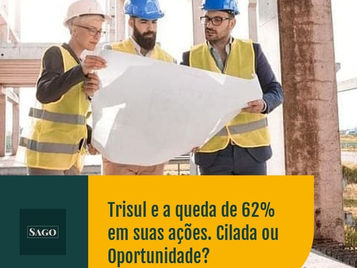 Trisul e a queda de 62% em suas ações! Cilada ou Oportunidade?