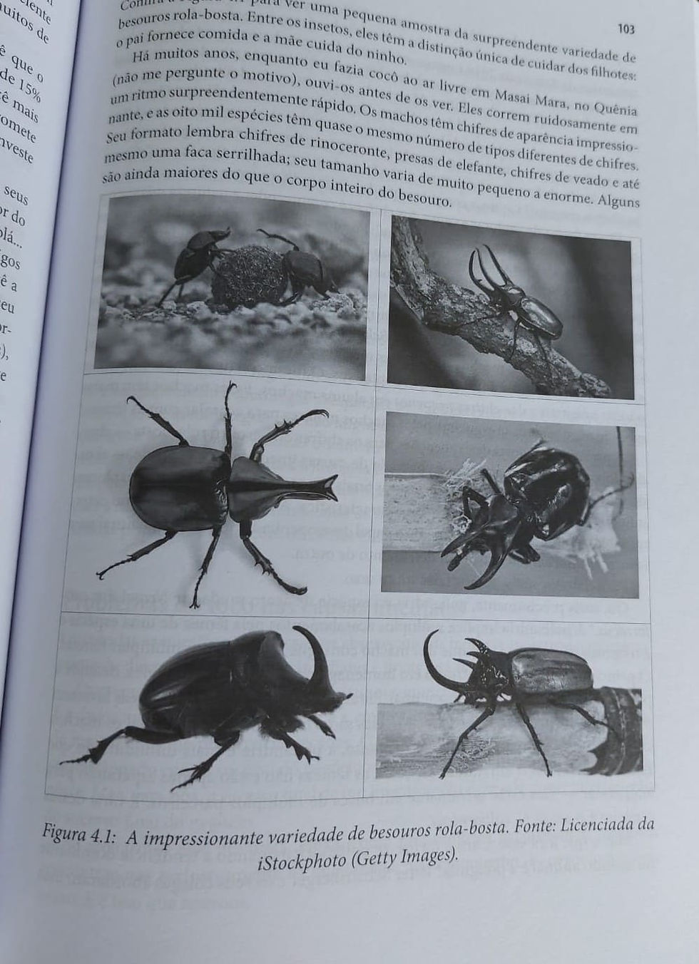 Livro O que aprendi sobre investimentos com Darwin